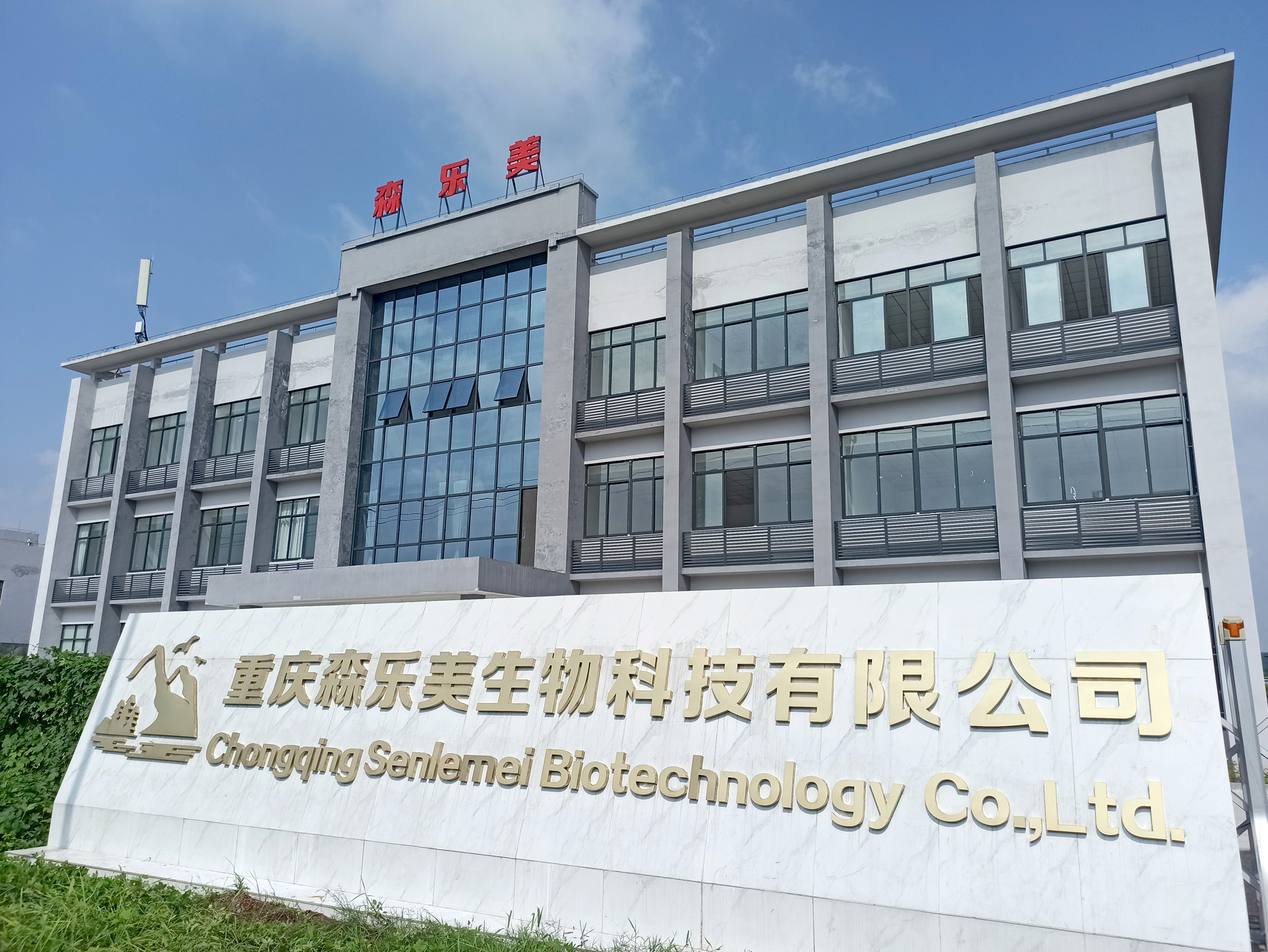 公司大(dà)門(mén) 